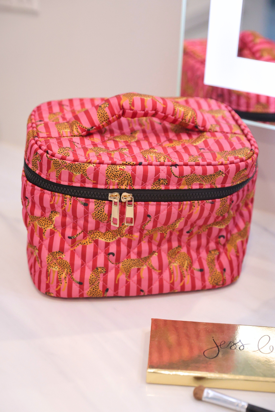 Jetsetter Cosmetic Bag