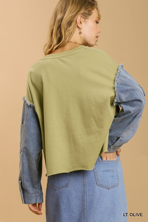 Jean Sleeve Pullover Top