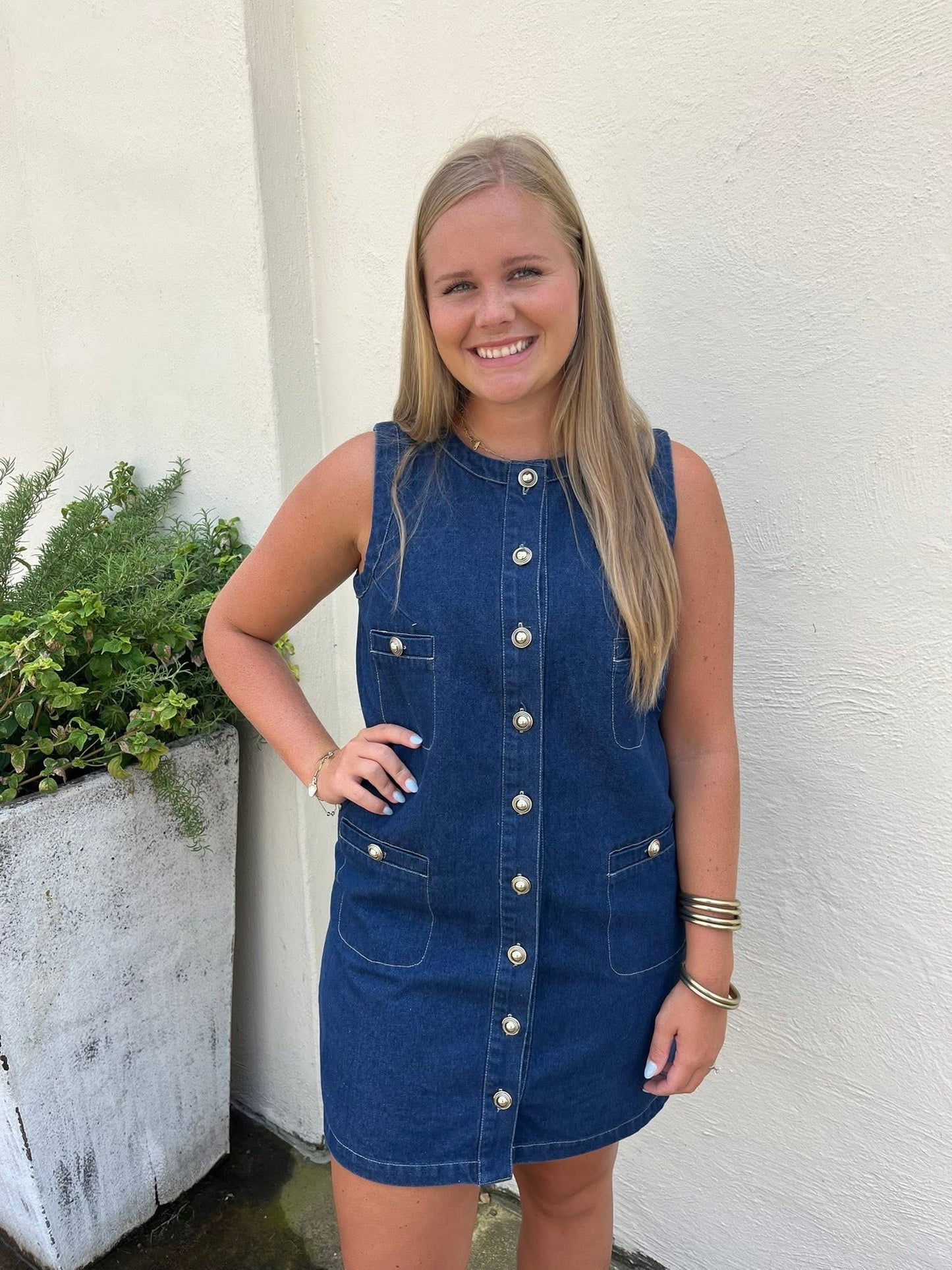 Demi Denim Dress