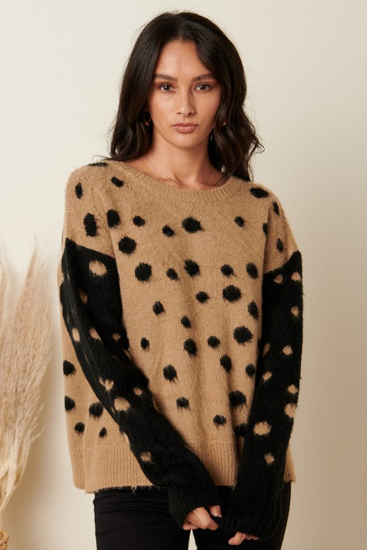 Dalmatian Colorblock Sweater