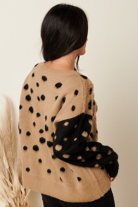 Dalmatian Colorblock Sweater