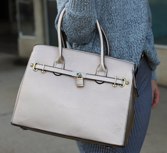 Gold Belted Lock Purse